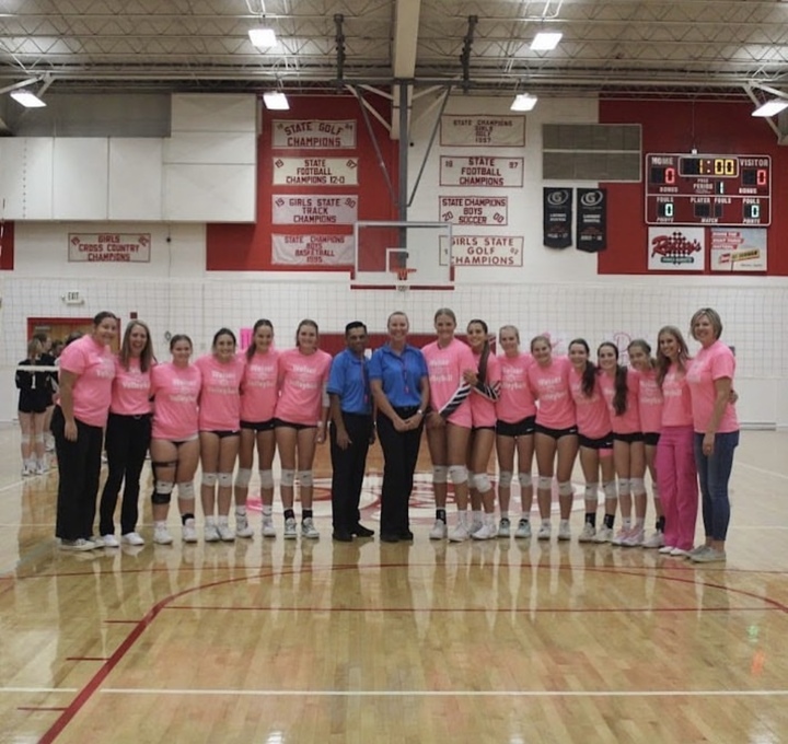 Dig Pink  T-Shirt Photo