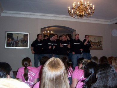 Northwestern's Asterik Rocks Delta Zeta! T-Shirt Photo