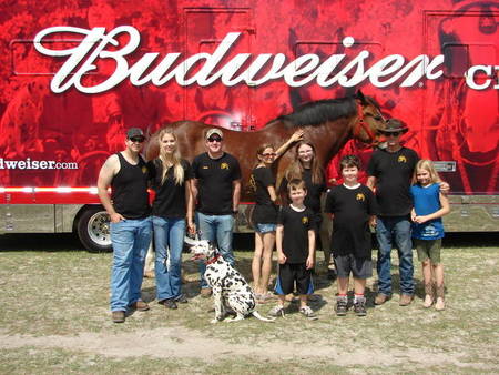 Budweiser Clydesdales Visit To Ft. Stewart, Ga  T-Shirt Photo