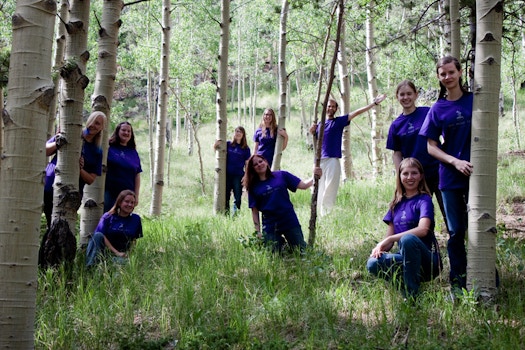 In The Trees T-Shirt Photo