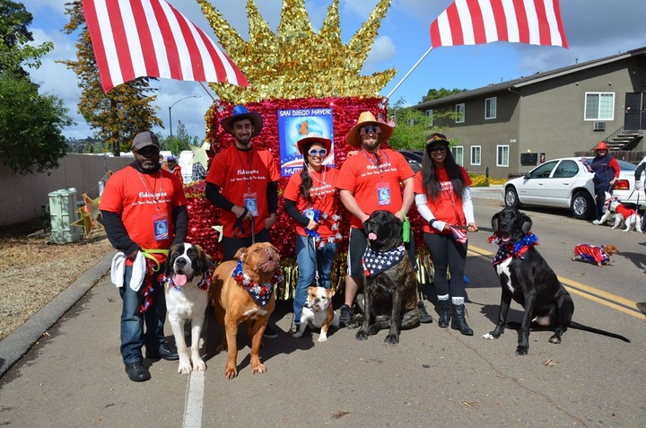 Celebrating Rescued Dogs T-Shirt Photo