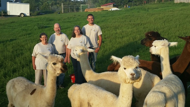 Peaceful Heart Alpacas In Fancy Gap, Virginia T-Shirt Photo