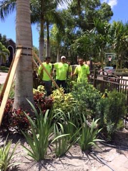 Proturf At Work T-Shirt Photo