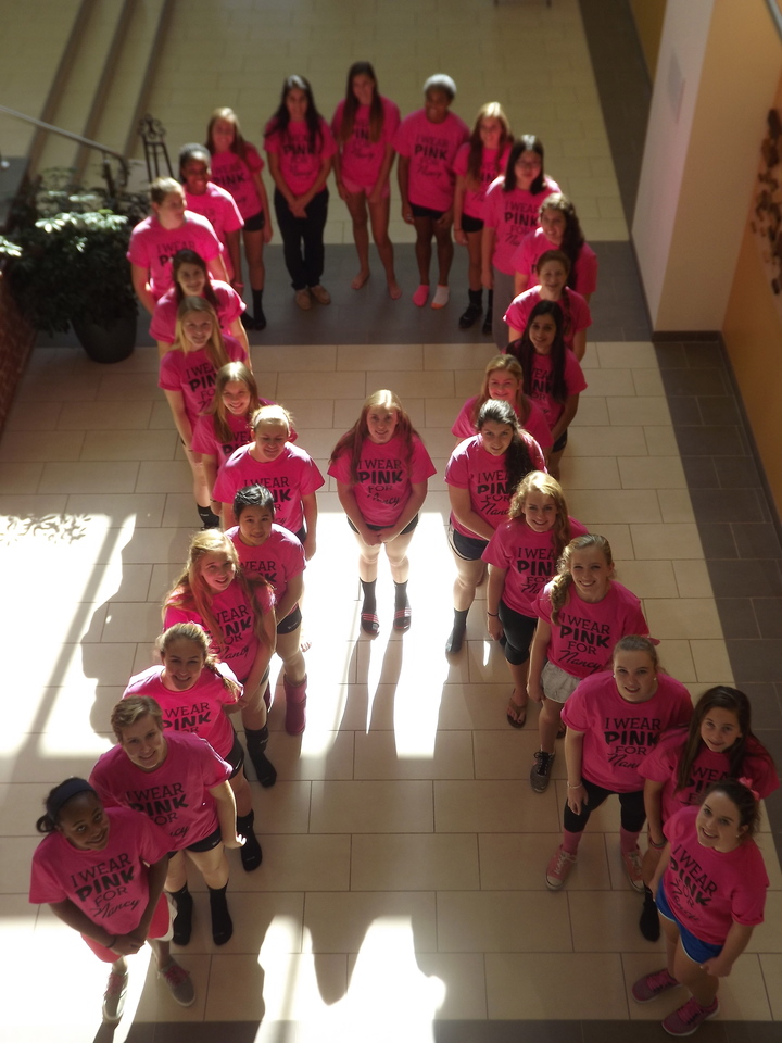 Wfs Volleyball Digs Pink To Support Breast Cancer Research! T-Shirt Photo