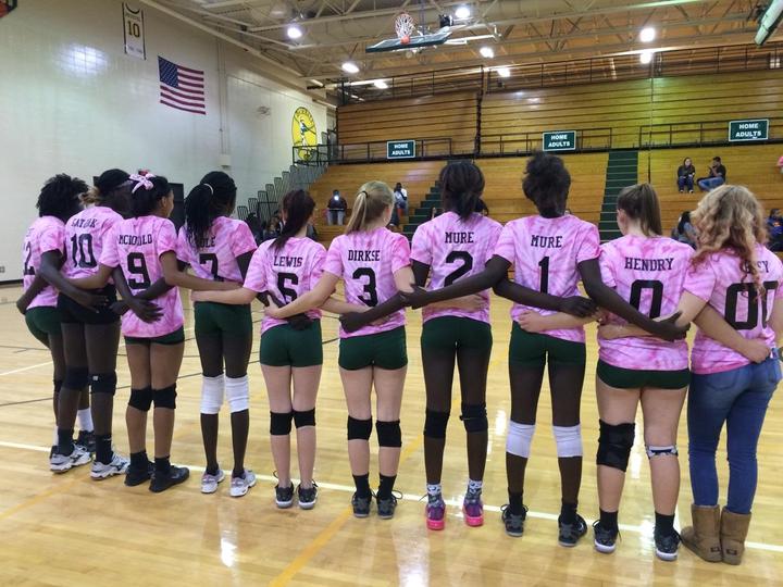 Dig Pink 2015 T-Shirt Photo