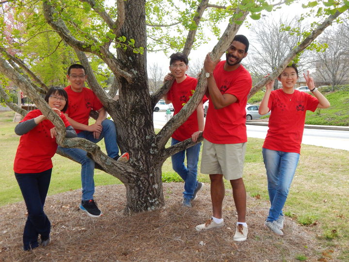 Shirts Fitting For A New Lab T-Shirt Photo