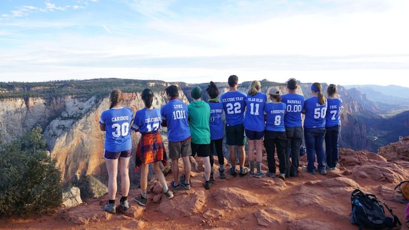 Animals & Kitchen Utensils At The Top Of The World T-Shirt Photo