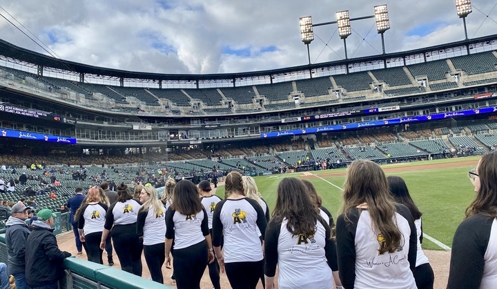 Taking The Field For The National Anthem T-Shirt Photo