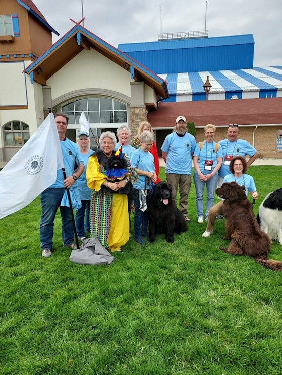 South Central Newfoundland Club T-Shirt Photo