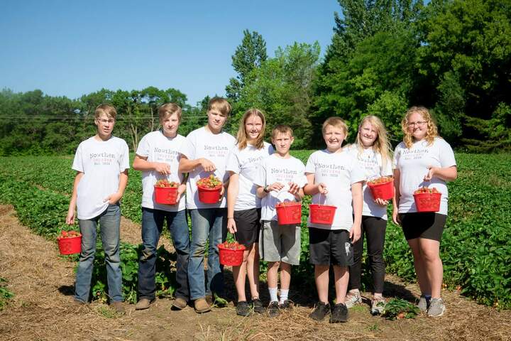 Strawberry Picking T-Shirt Photo