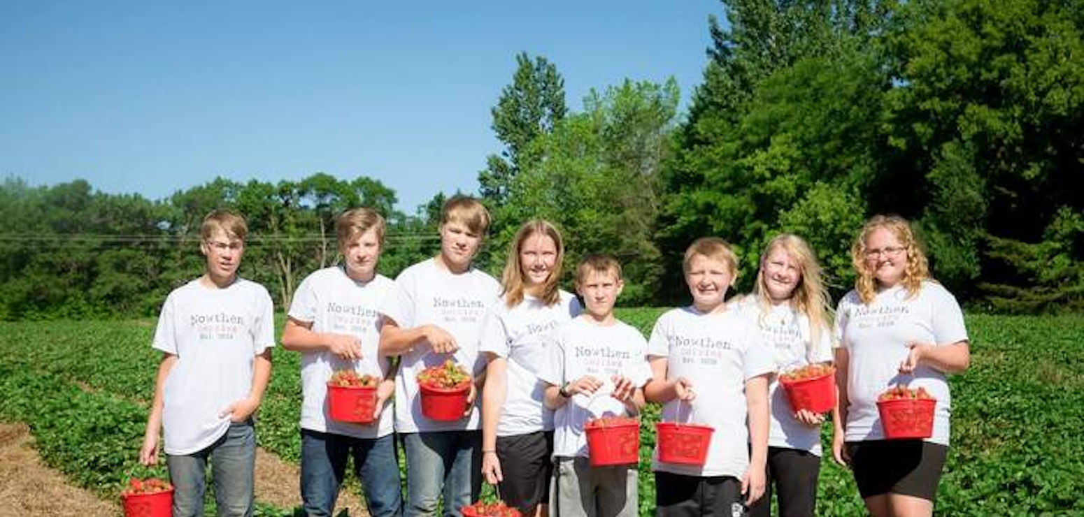 Picture of Strawberry Picking Custom T-Shirt Design Strawberry Picking T-Shirt Photo